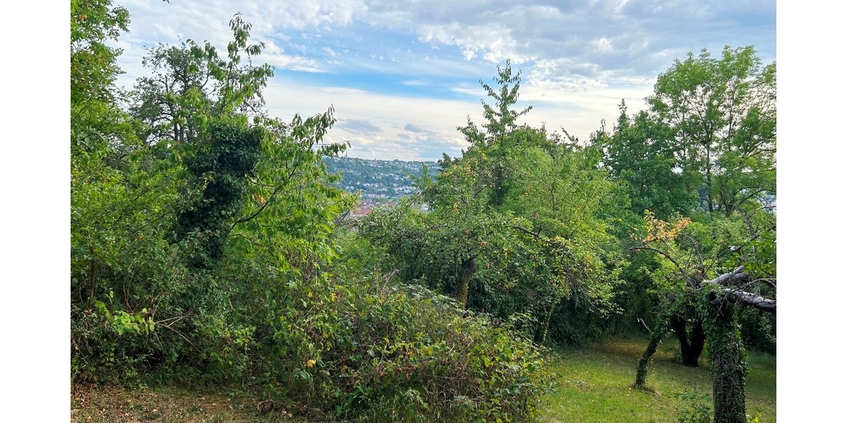 Gartengrundstück in Toplage von Esslingen - Wittumweinberge oberhalb der Burg - Grundstück Esslingen am Neckar Hohenkreuz | Angebot:27549076