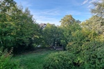 Familienfreundliches Einfamilienhaus mit Einliegerwohnung in attraktiver Aussichtslage von Leonberg - Einliegerwohnung Leonberg Leonberg | Angebot:27550187